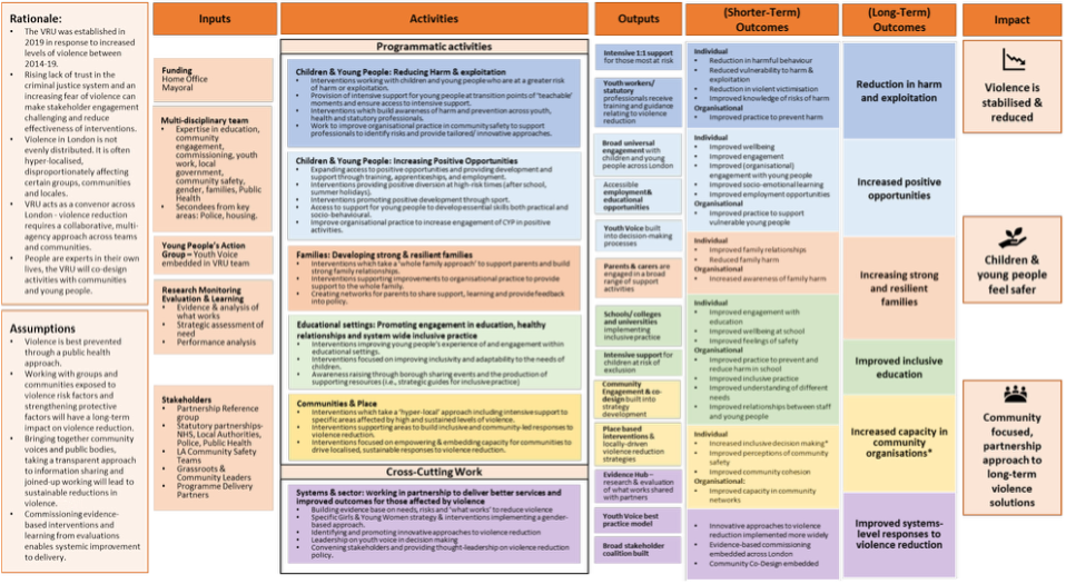 London VRUs Logic model